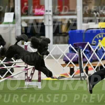 MAS-EX-JWW-20-Inch_2658