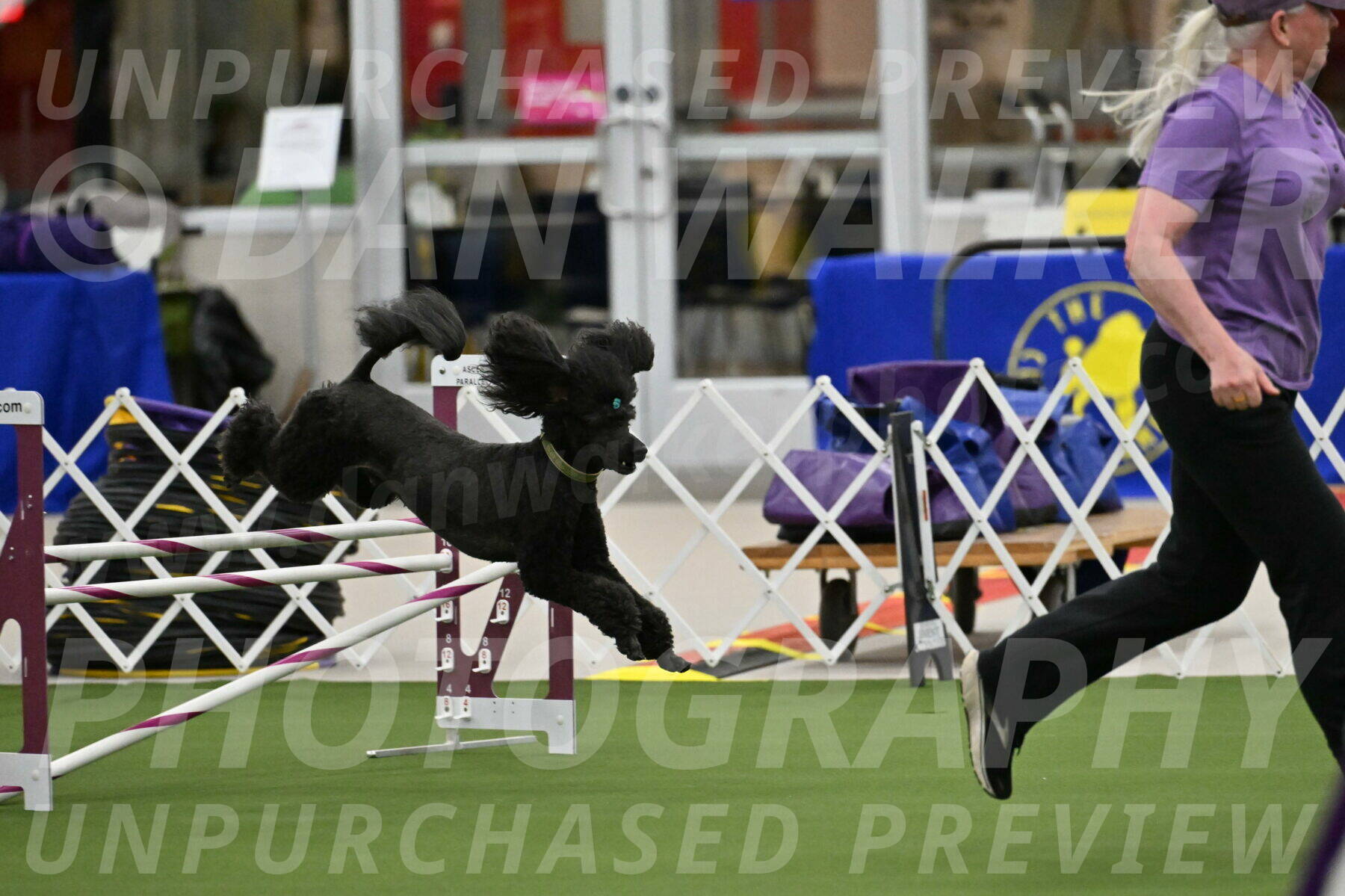 MAS-EX-JWW-20-Inch_2658