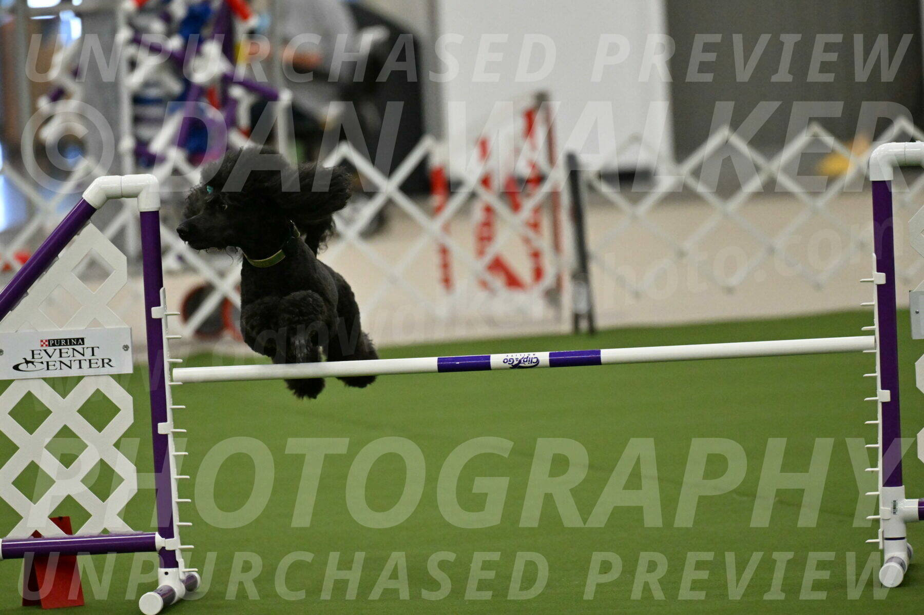 MAS-EX-JWW-20-Inch_2661