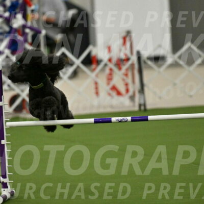 MAS-EX-JWW-20-Inch_2661