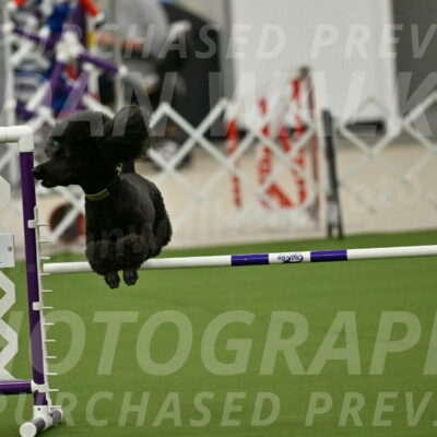 MAS-EX-JWW-20-Inch_2662