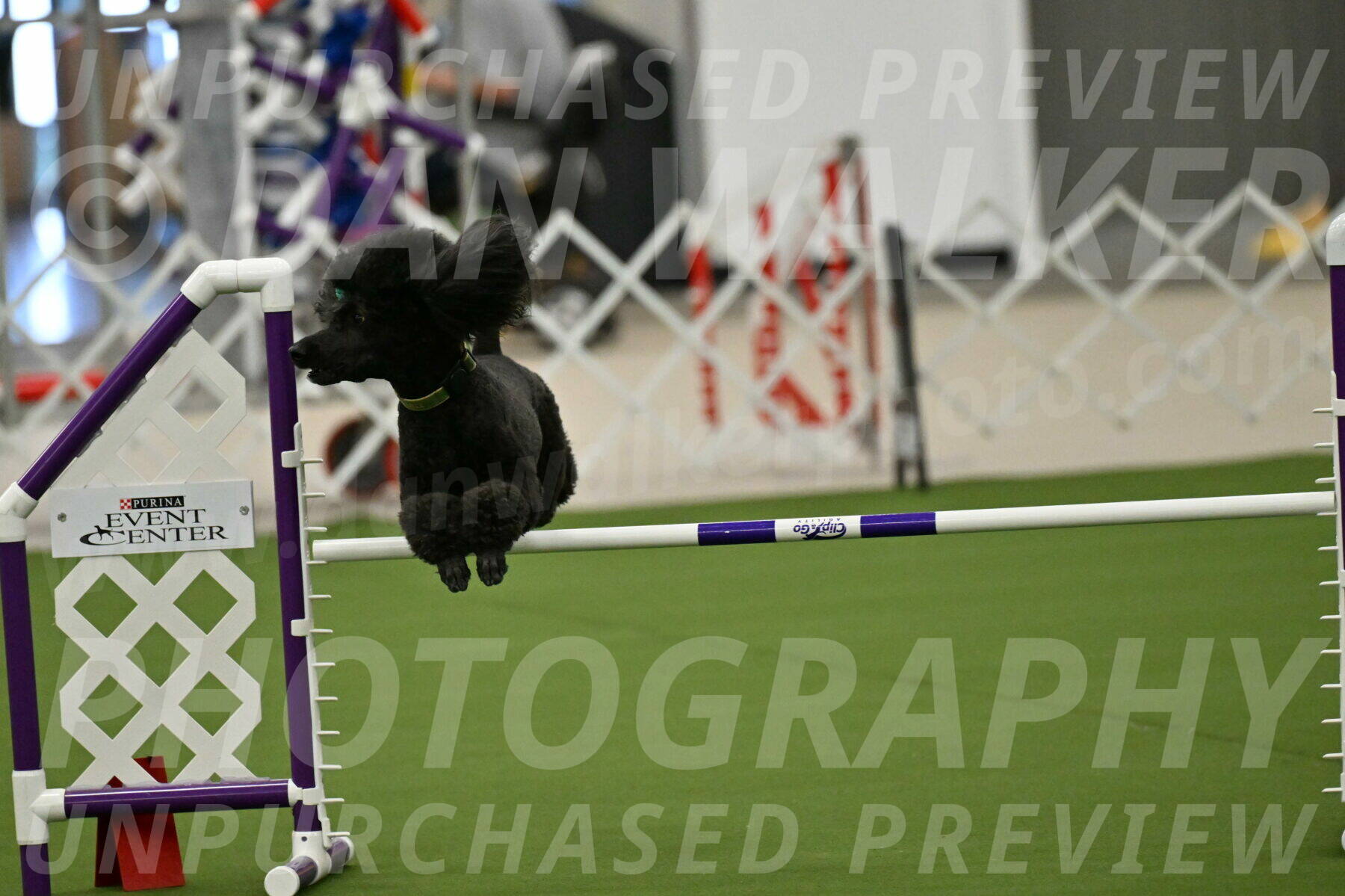 MAS-EX-JWW-20-Inch_2662