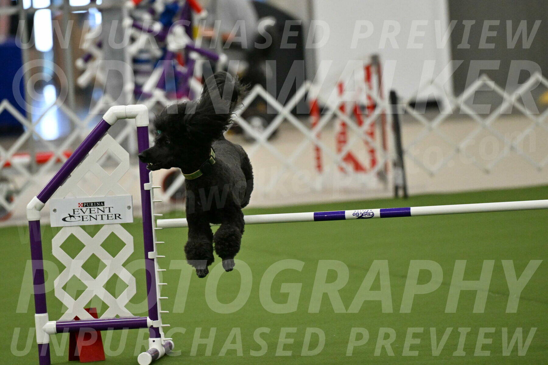 MAS-EX-JWW-20-Inch_2663