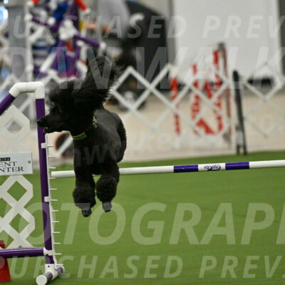 MAS-EX-JWW-20-Inch_2663