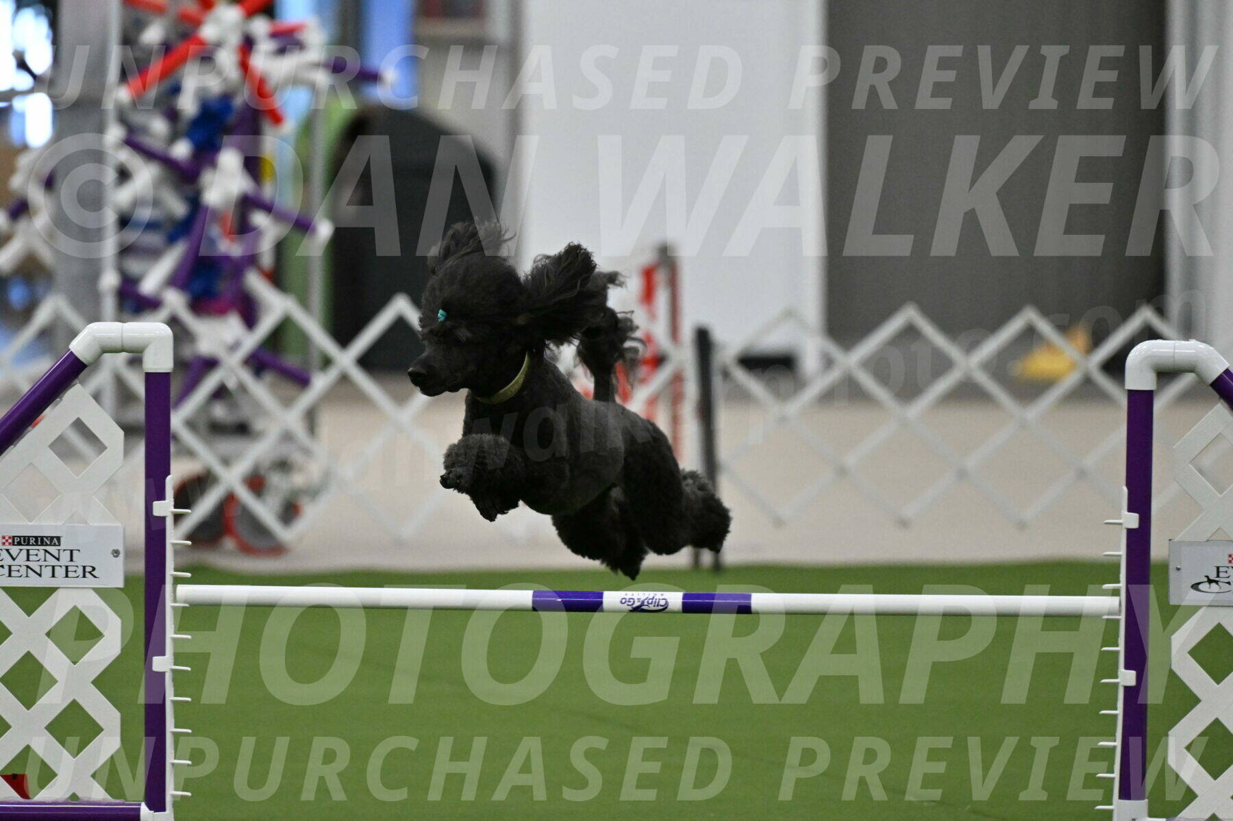 MAS-EX-JWW-20-Inch_2672