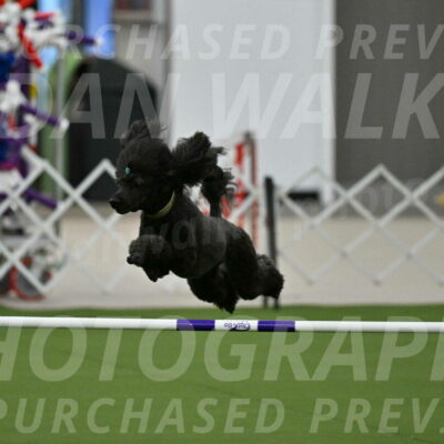 MAS-EX-JWW-20-Inch_2672