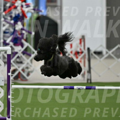 MAS-EX-JWW-20-Inch_2673