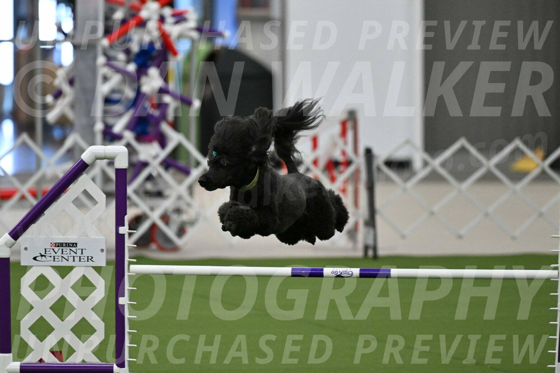 MAS-EX-JWW-20-Inch_2673