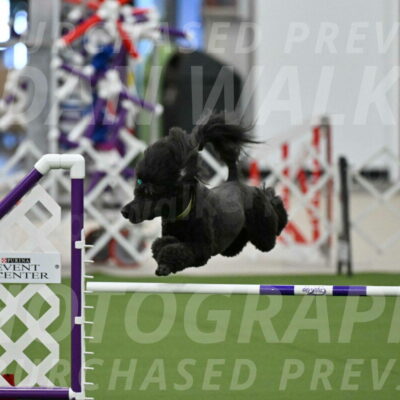 MAS-EX-JWW-20-Inch_2674