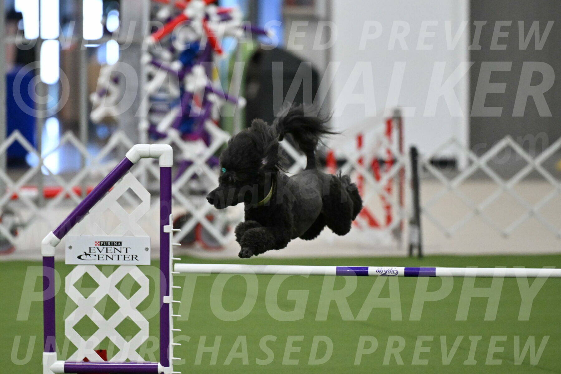 MAS-EX-JWW-20-Inch_2674