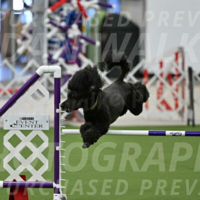 MAS-EX-JWW-20-Inch_2675