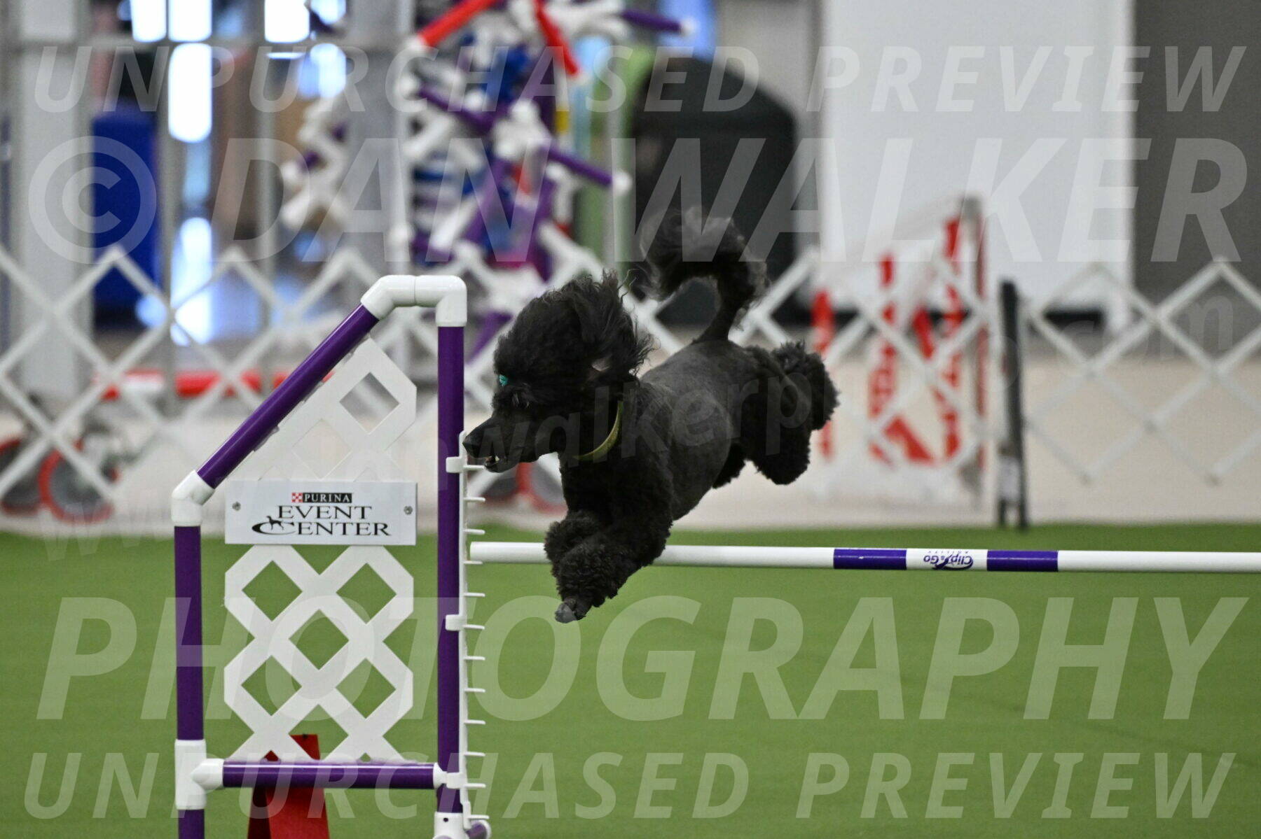 MAS-EX-JWW-20-Inch_2675