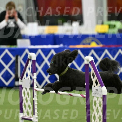 MAS-EX-JWW-20-Inch_2676