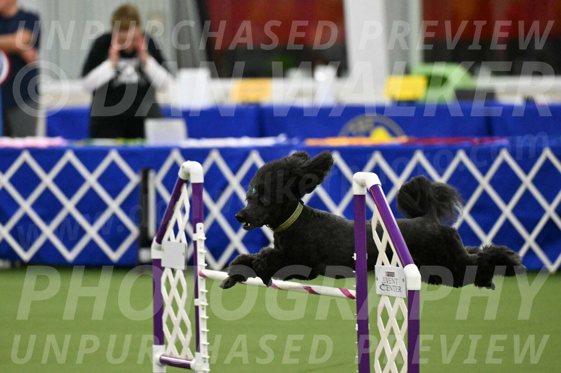 MAS-EX-JWW-20-Inch_2676