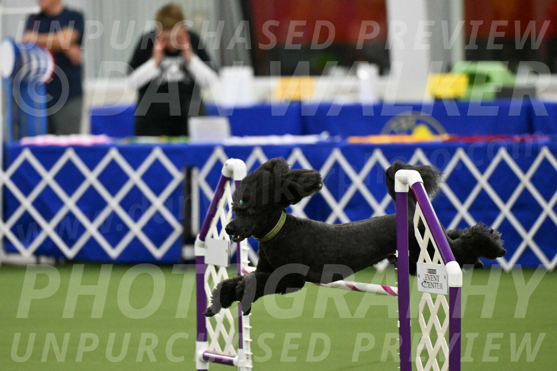 MAS-EX-JWW-20-Inch_2677