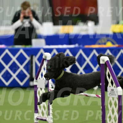 MAS-EX-JWW-20-Inch_2677