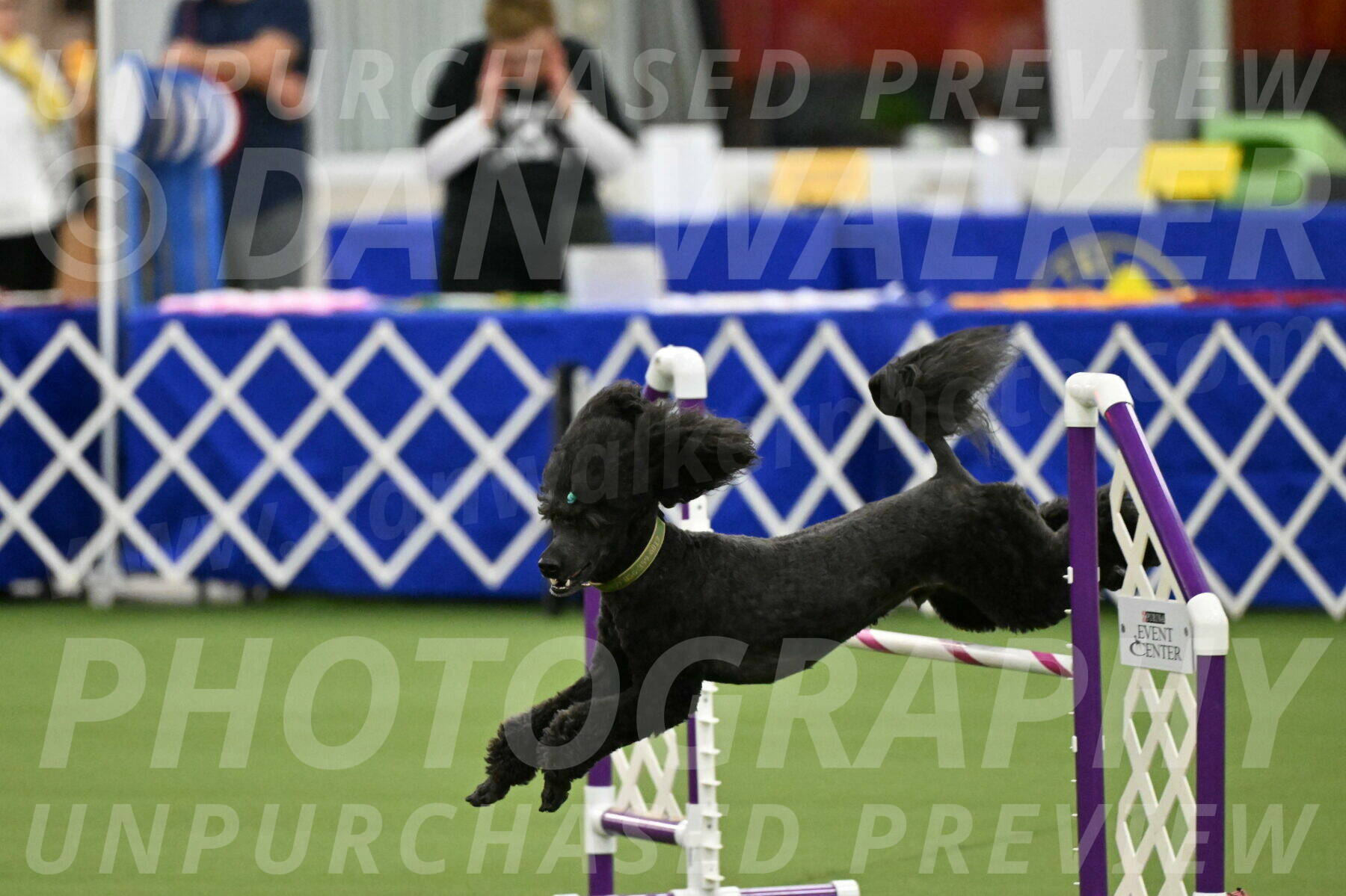 MAS-EX-JWW-20-Inch_2678