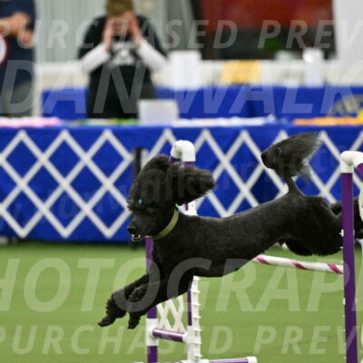 MAS-EX-JWW-20-Inch_2678