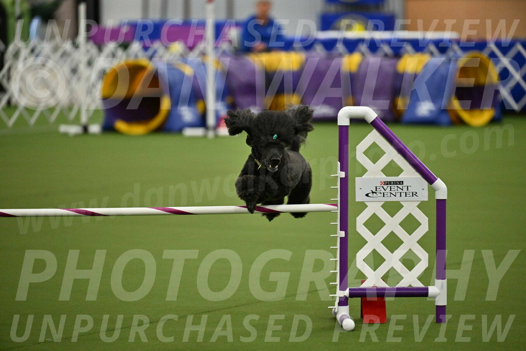 MAS-EX-JWW-20-Inch_2681