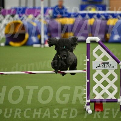 MAS-EX-JWW-20-Inch_2681