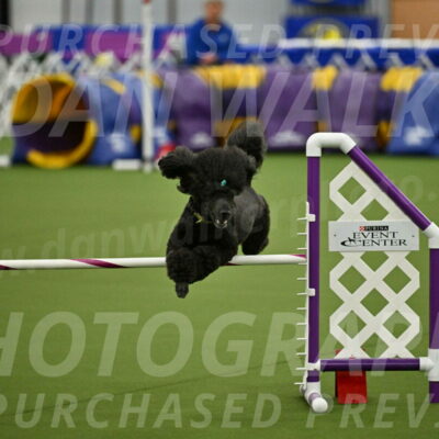 MAS-EX-JWW-20-Inch_2682