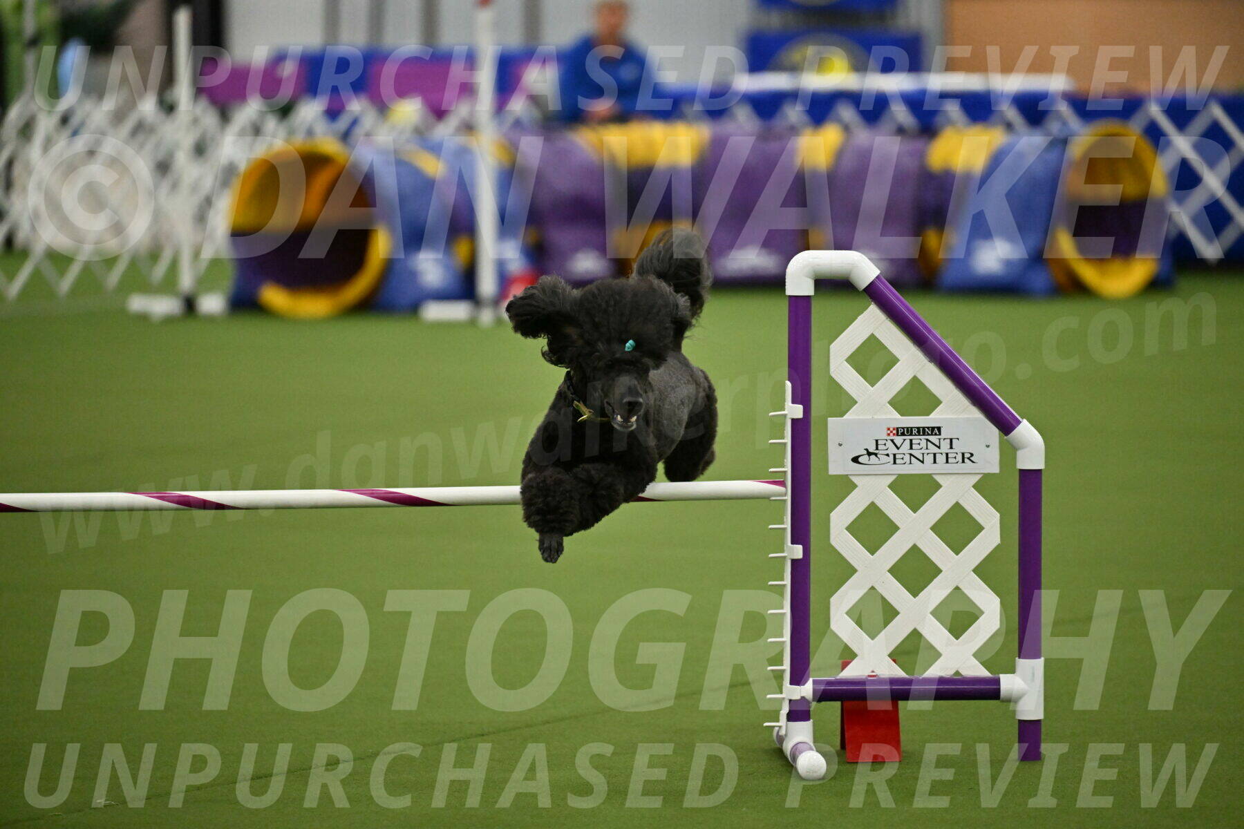 MAS-EX-JWW-20-Inch_2682