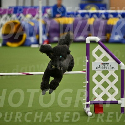 MAS-EX-JWW-20-Inch_2683