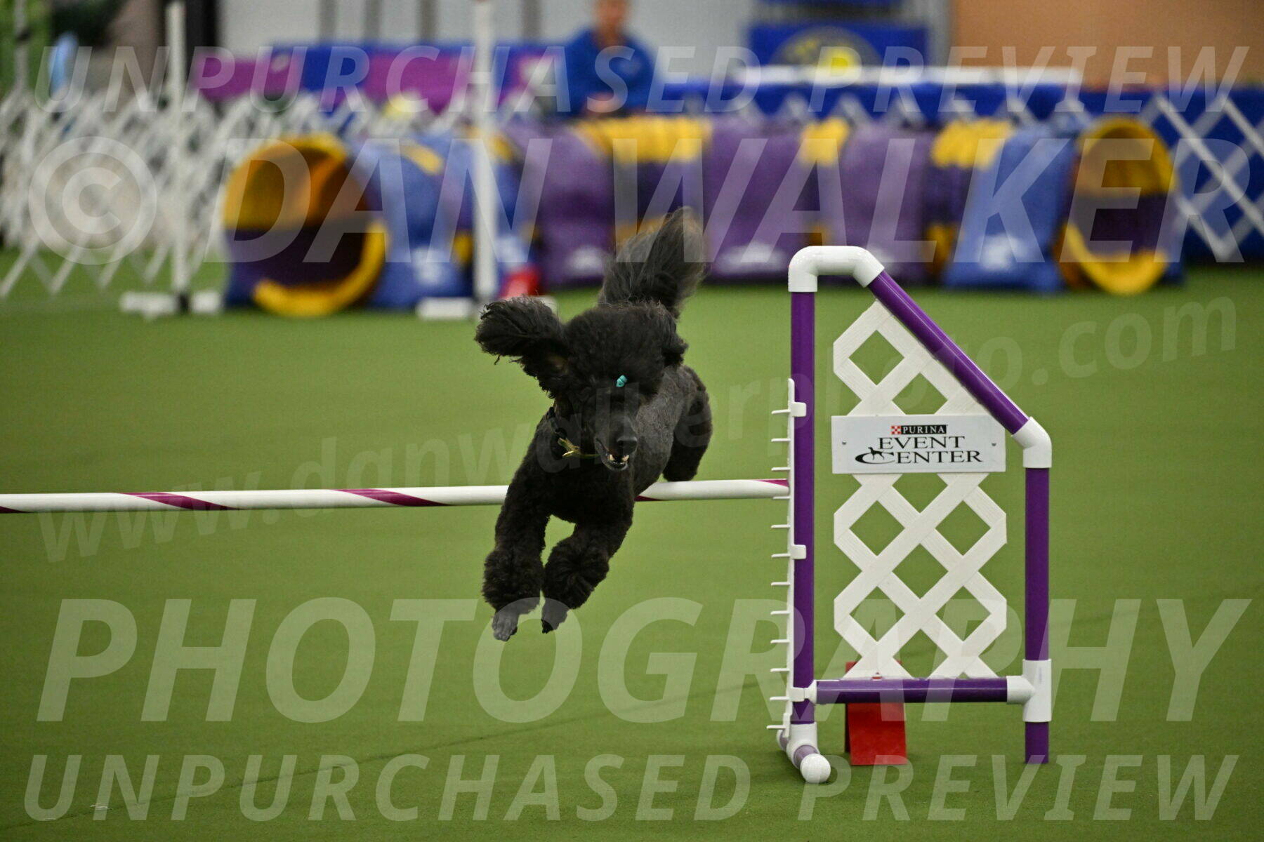 MAS-EX-JWW-20-Inch_2683