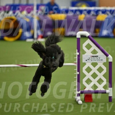 MAS-EX-JWW-20-Inch_2684