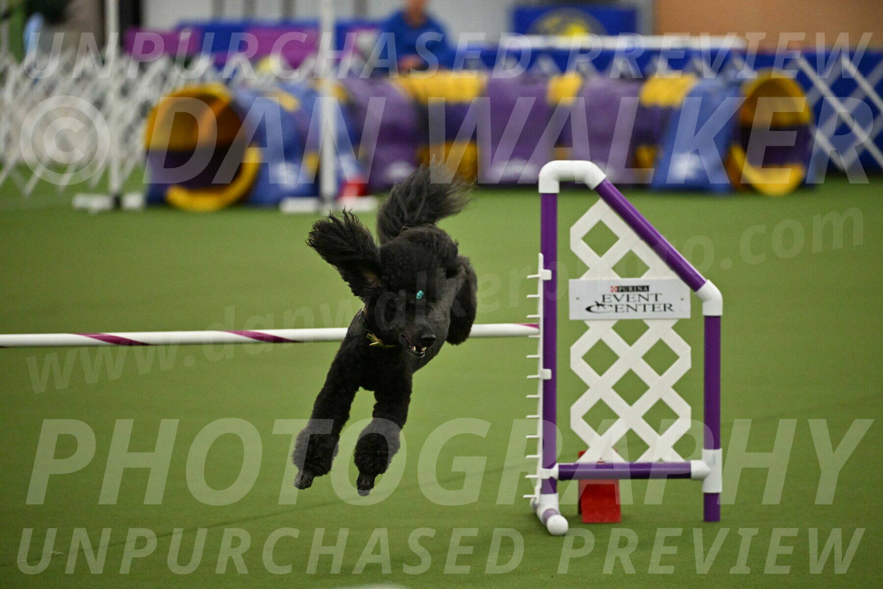 MAS-EX-JWW-20-Inch_2684