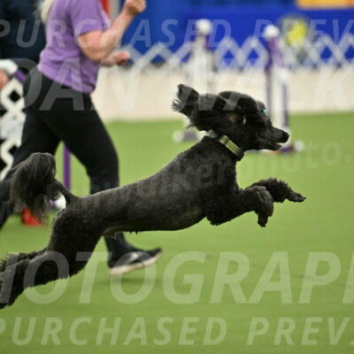 MAS-EX-JWW-20-Inch_2687