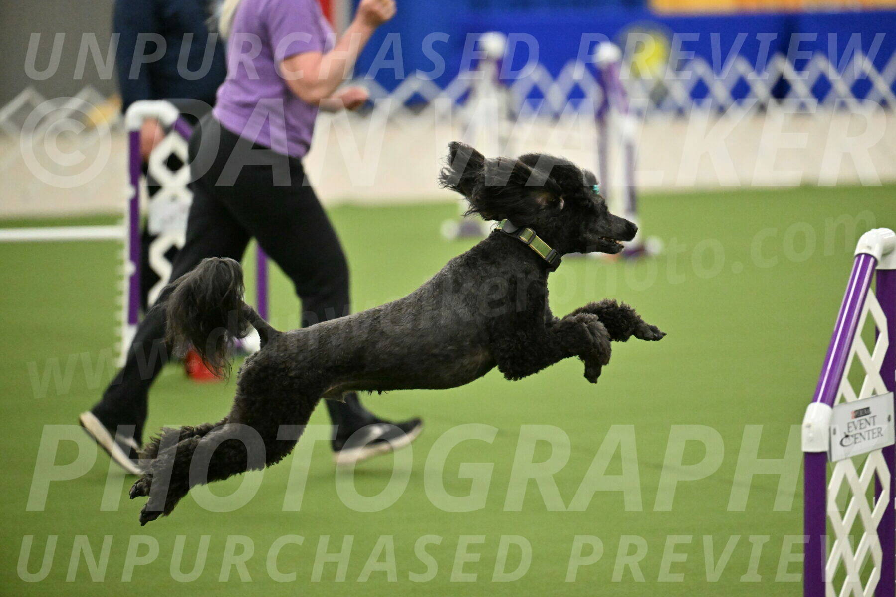 MAS-EX-JWW-20-Inch_2687