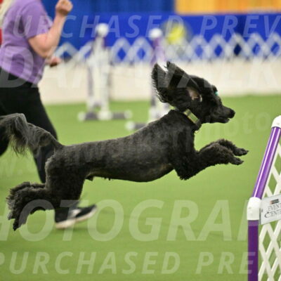 MAS-EX-JWW-20-Inch_2688