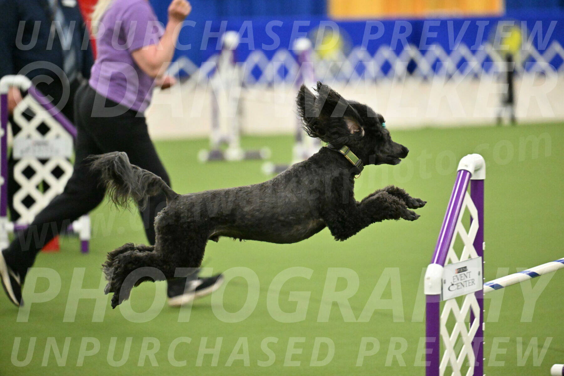 MAS-EX-JWW-20-Inch_2688