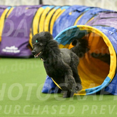 MAS-EX-JWW-20-Inch_2692