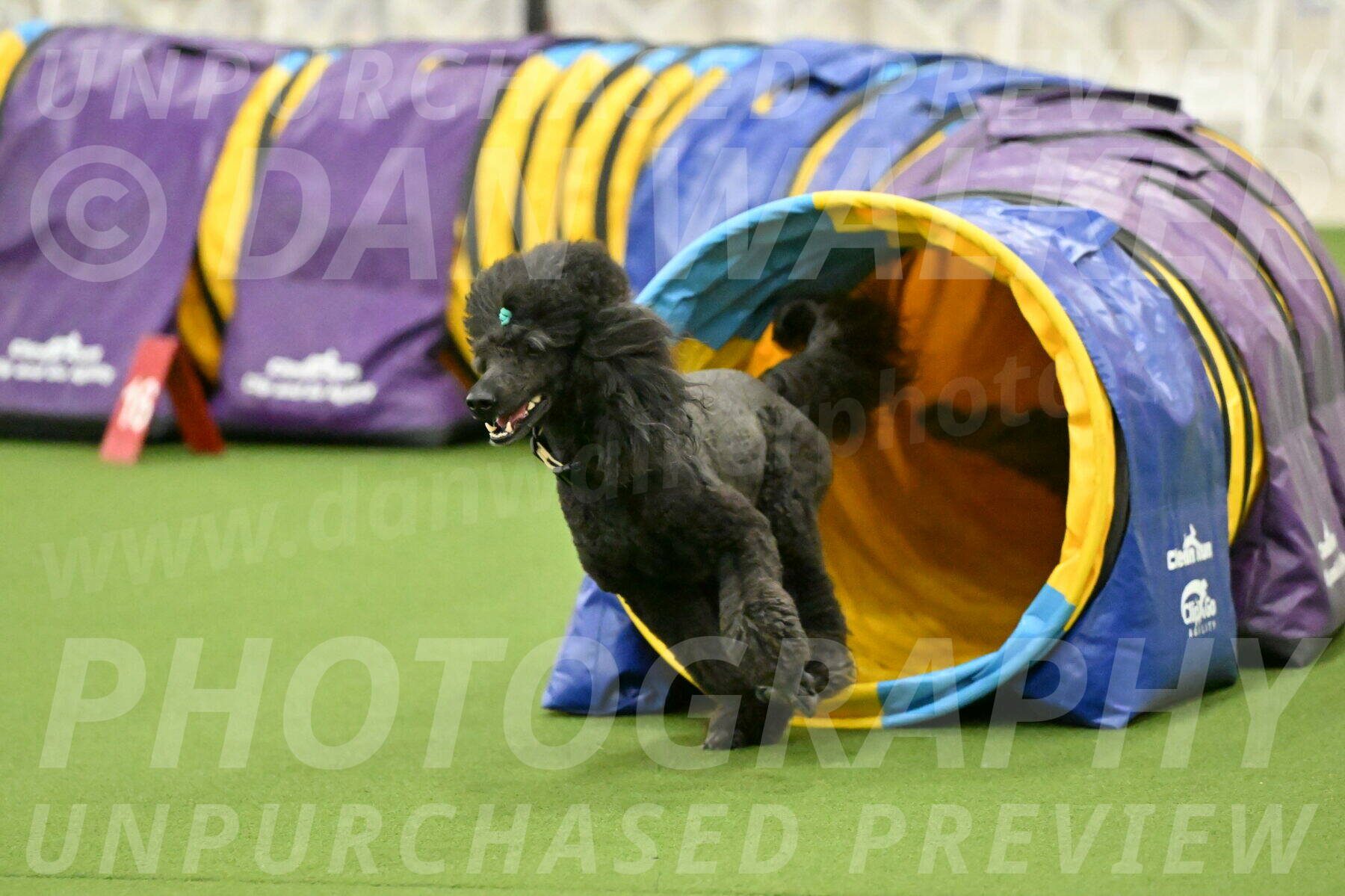 MAS-EX-JWW-20-Inch_2692