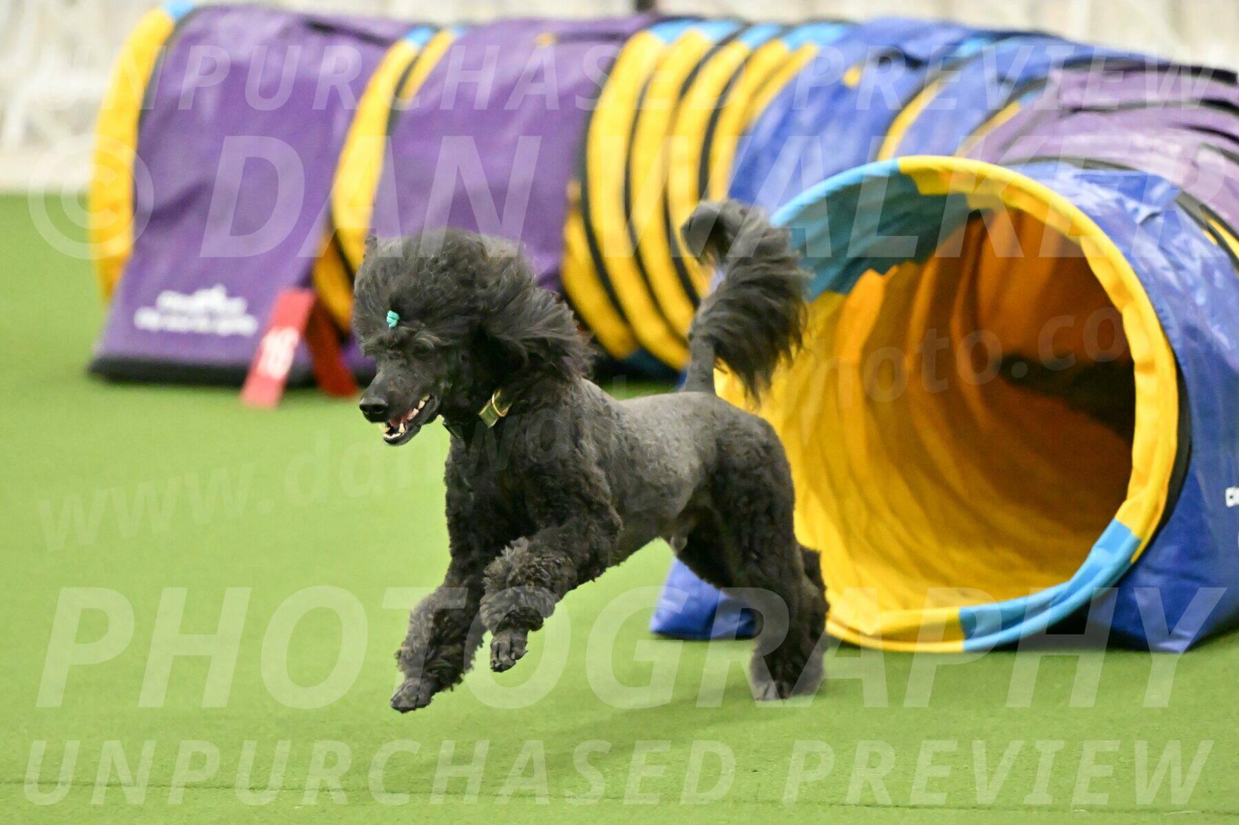 MAS-EX-JWW-20-Inch_2694