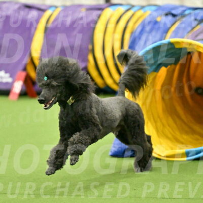 MAS-EX-JWW-20-Inch_2694