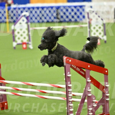 MAS-EX-JWW-20-Inch_2698