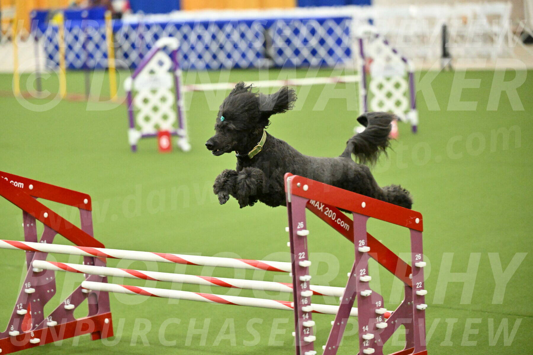 MAS-EX-JWW-20-Inch_2698