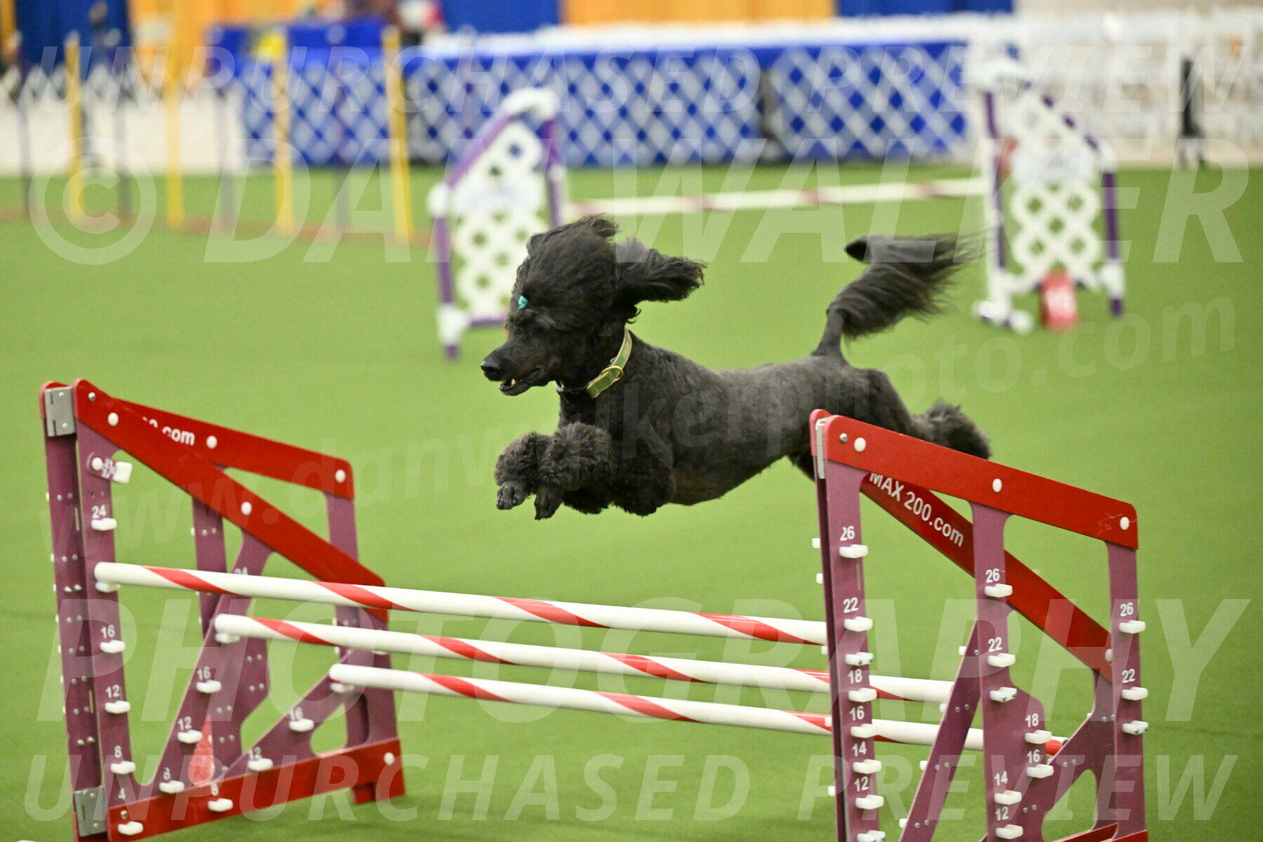 MAS-EX-JWW-20-Inch_2699