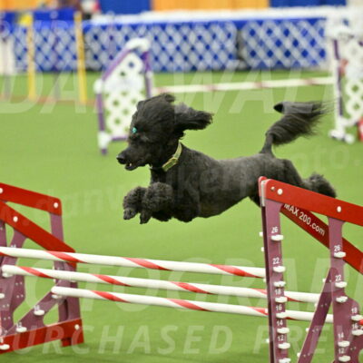 MAS-EX-JWW-20-Inch_2699