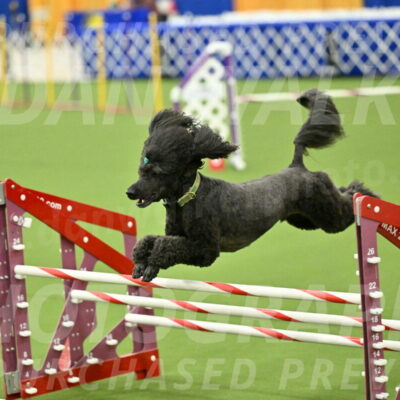 MAS-EX-JWW-20-Inch_2700