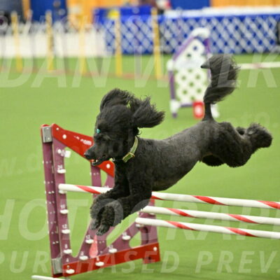 MAS-EX-JWW-20-Inch_2701