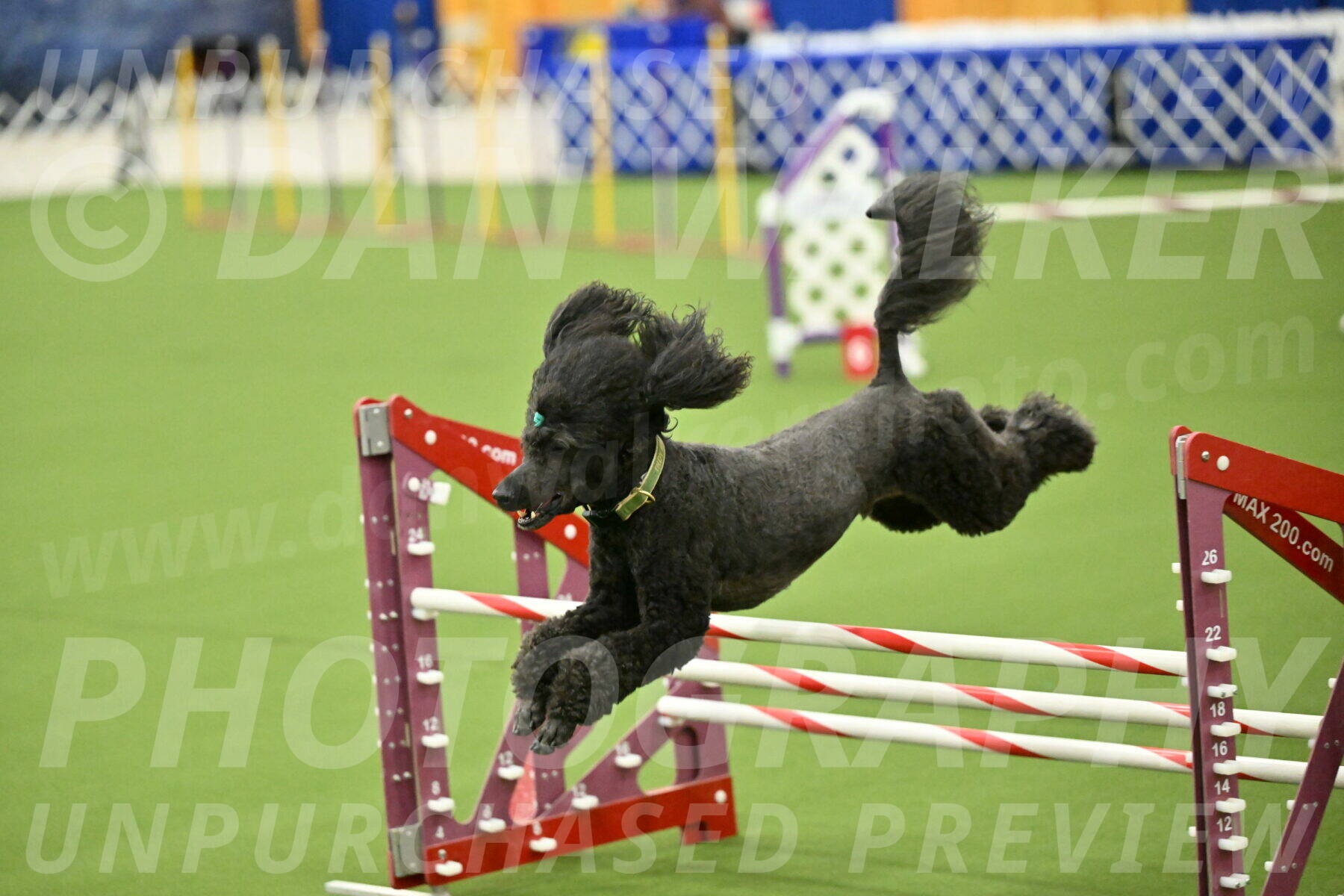 MAS-EX-JWW-20-Inch_2701