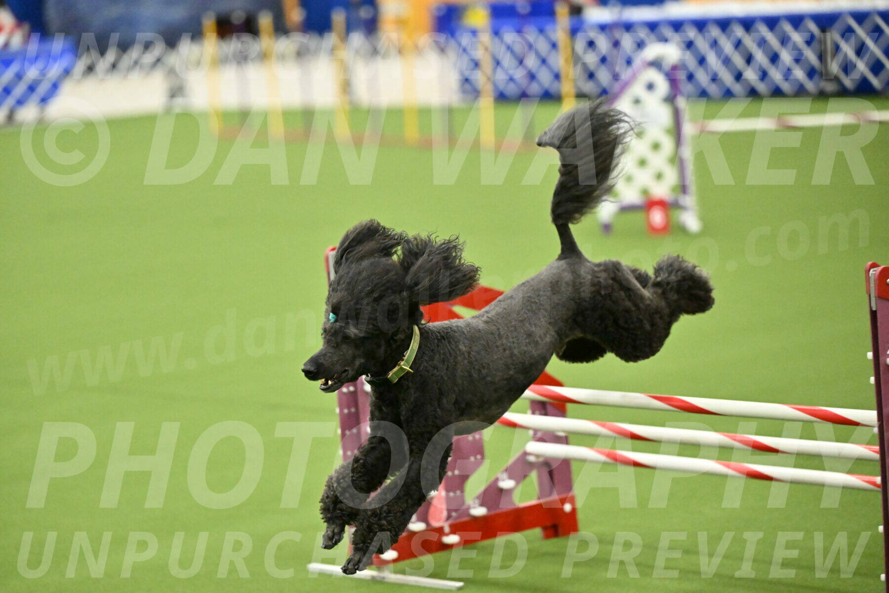 MAS-EX-JWW-20-Inch_2702