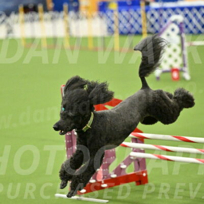 MAS-EX-JWW-20-Inch_2702