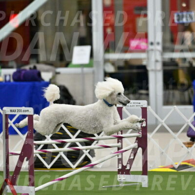 MAS-EX-JWW-20-Inch_2704