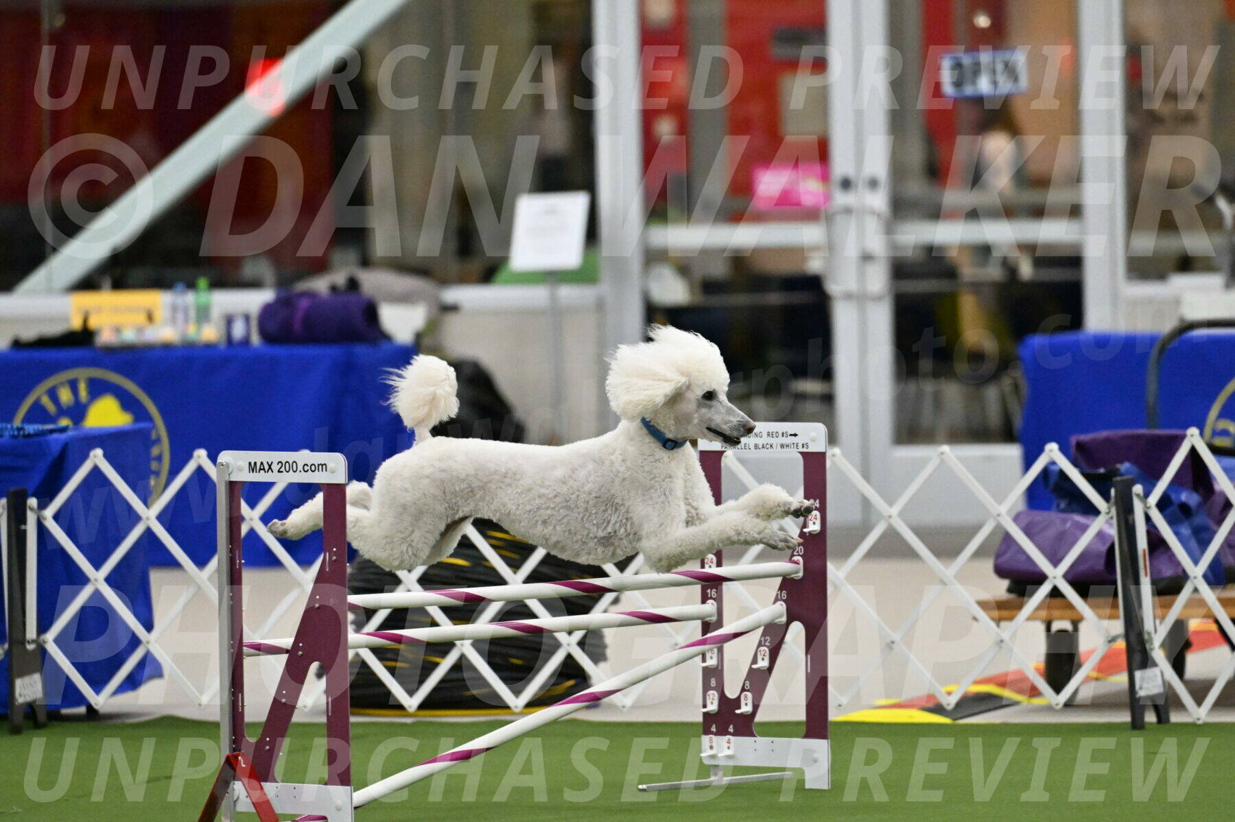 MAS-EX-JWW-20-Inch_2704