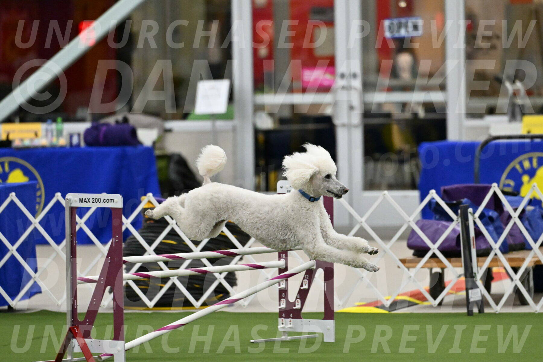 MAS-EX-JWW-20-Inch_2705